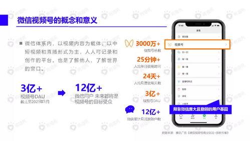 雪王最新爆料视频下载,揭秘神秘事件背后的真相